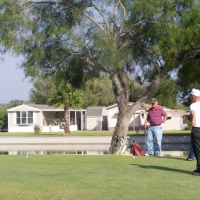 contemplating-birdie-number-6