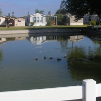 north-irrigation-pond