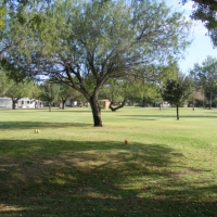 number-1-tee-box